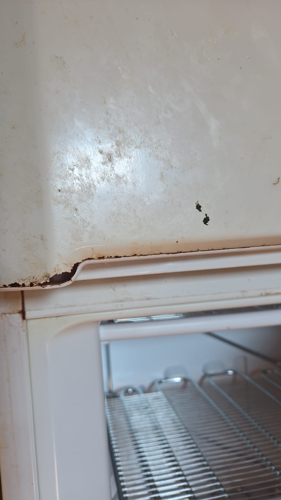 Impresa di pulizie civili a Verona